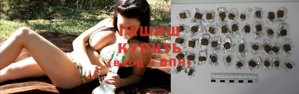 гашик Инта