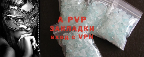 прущие грибы Каменск-Шахтинский