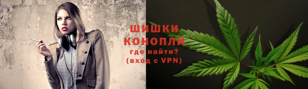 прущие грибы Каменск-Шахтинский