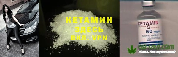 прущие грибы Каменск-Шахтинский