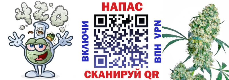 Купить где  Кисловодск  Конопля конопля 